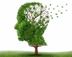 Болезнь Альцгеймера — страшная болезнь разрушающая мозг