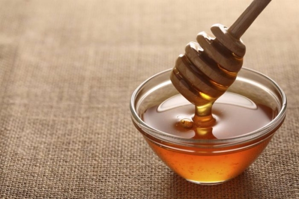 Трепанг на меду — лечебные свойства, как правильно принимать, противопоказания